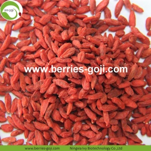 Buah Pabrik Kering Merah Anti Umur Goji Berry