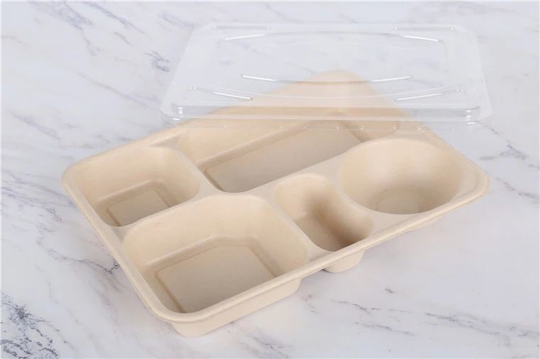 Biodegradable Composable Sugarcane Bagasse Lunch Trays