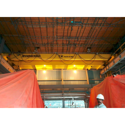 Explosion Proof Crane Details