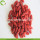 Factory Supply Fruit Anti Age Fresh Goji Berry