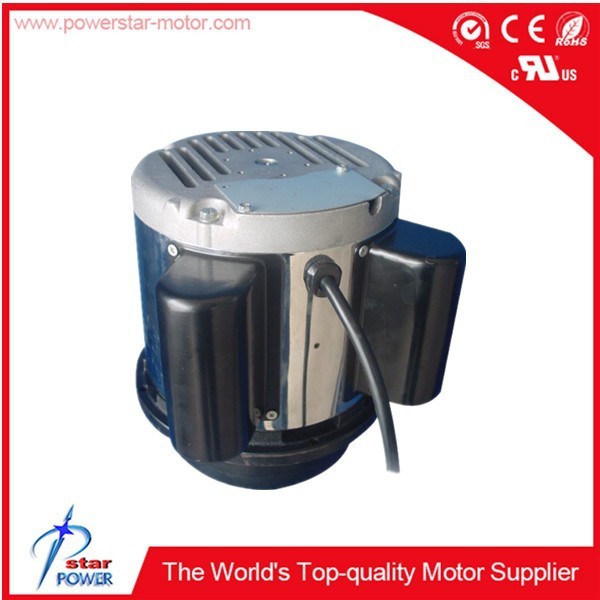 Hot Selling Professional Trustworthy Electric Floor Polishing Motor