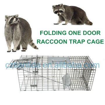 Professional Humane Raccoon Trap Cage, Live Raccoon Trap---TLD2015