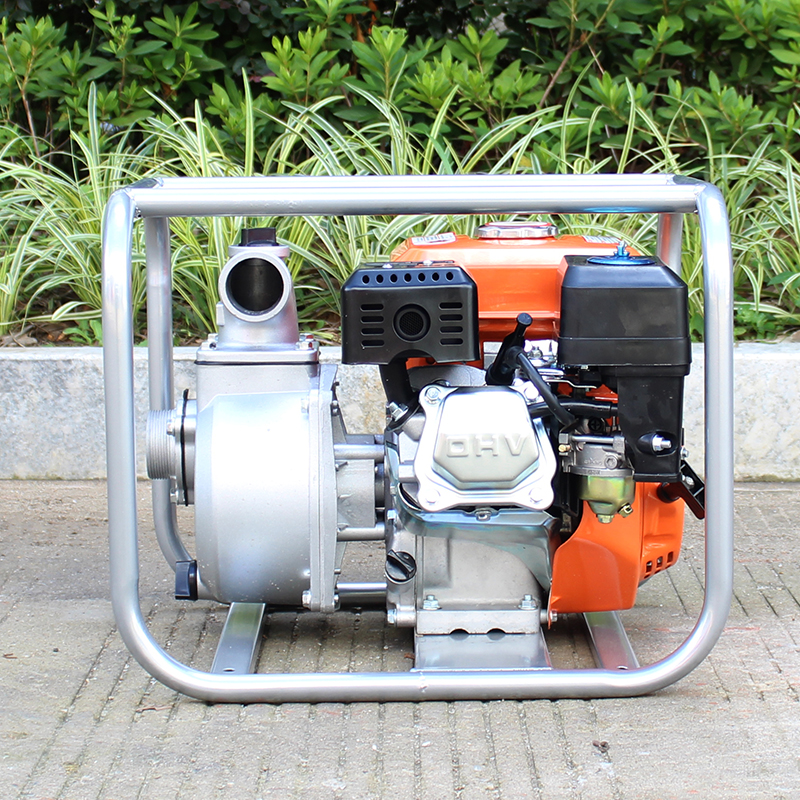 BISON(CHINA) Gasoline Water Pump WP20