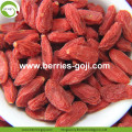 Fabriksförsörjning Frukter Bulk Sun Dry Goji Berry