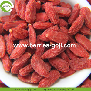 โรงงานซัพพลายผลไม้เป็นกลุ่มอาทิตย์แห้ง Goji Berry