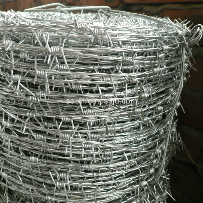 High Tensile Barbed Wire Dubbel Strand Typ