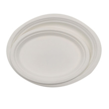 Biodegradable 10 inch Oval Sugarcane paper plate