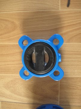 Wafer Check Valve Double Disc Lt Type