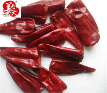 Hot Spice Dried Yidu Red Chili