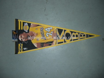 Sport team Pennant