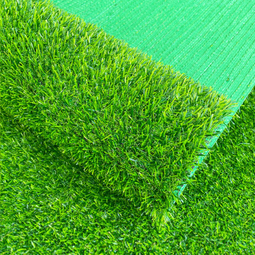 Gacci utan fyllig golfgrön gräs