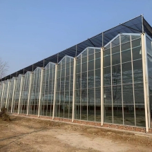 Thermal Protection Greenhouse with External Shading