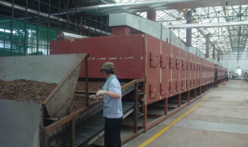 Tea Leaves Drying Equipment/Walnuts Professional Drier