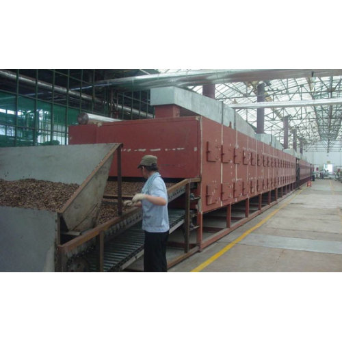 Single Pass Belt Drying Equipment