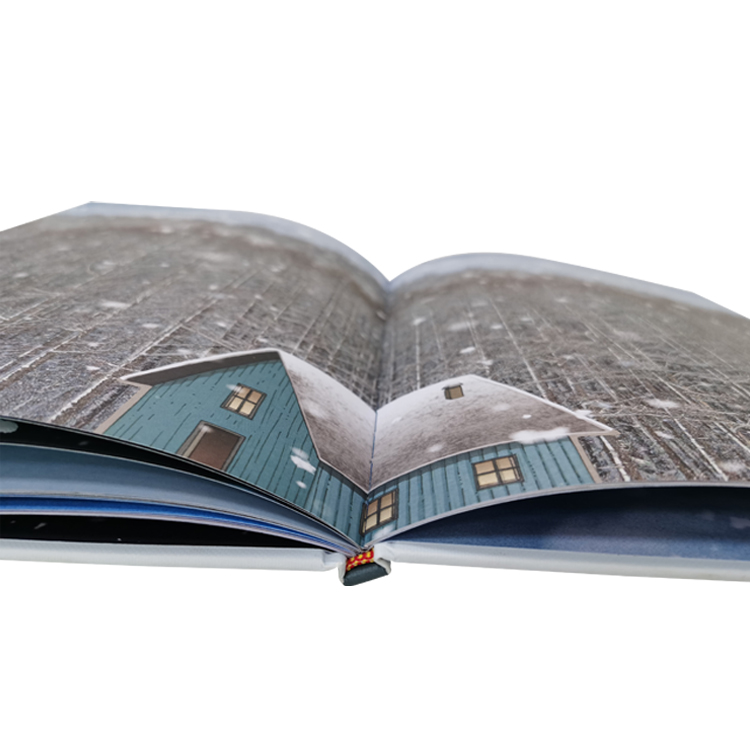 book book