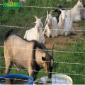 hinge joint steel field sheep animal fence