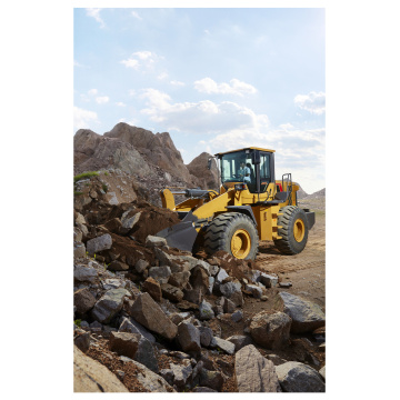 Lovol Wheel Loader FL946H met Weichai -motor