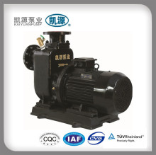 ZWL centrifugal sewage portable wastewater Pump for remote settlement