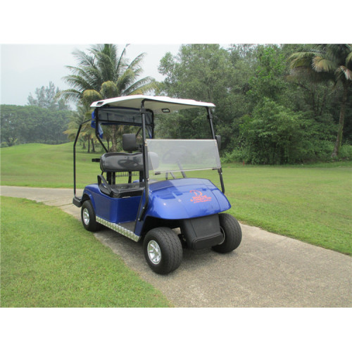 Keranjang Golf Bertenaga Gas 2 Tempat Duduk 300CC