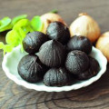 Bawang putih hitam solo kupas