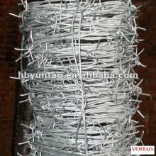 4 Barbed Points Double Strand Barbed Wire Factory EXACT weight