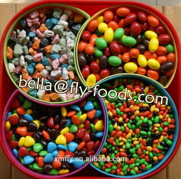 Bulk Colors Sunflower Seed Chocolate Candy