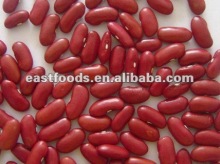 red kidney beans