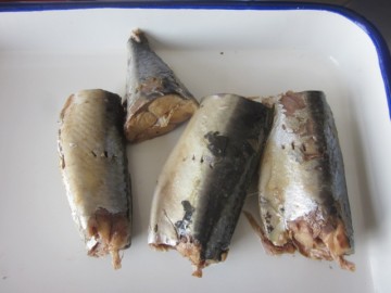 Delicious Canned Jack Mackerel Fish in Brine