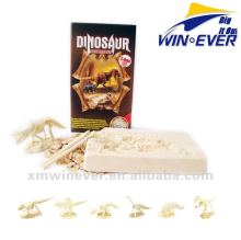 Dino Skeleton 6 assorted Excavation toy kits