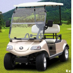 Electric Golf Car/Cart/Buggy (DEL3022G, 2-Seater)