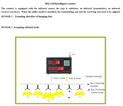 Automatic online bird counter