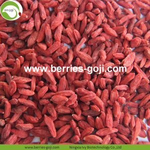 Grosir Kue Kering Merah Eu Standar Goji Berries