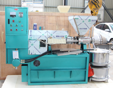 Smart Oil Press Machine for sesame