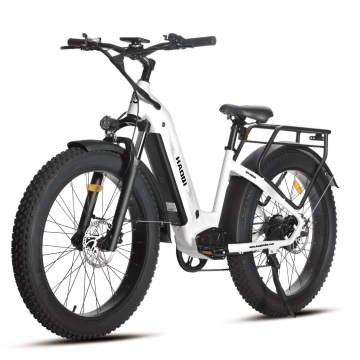 Bicicleta eléctrica Eagle 48V 20Ah Fat Tire