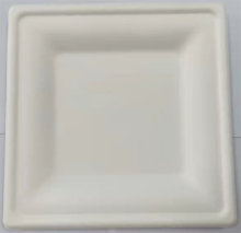 Disposable Paper Plate for BBQ, Picnic, Camping