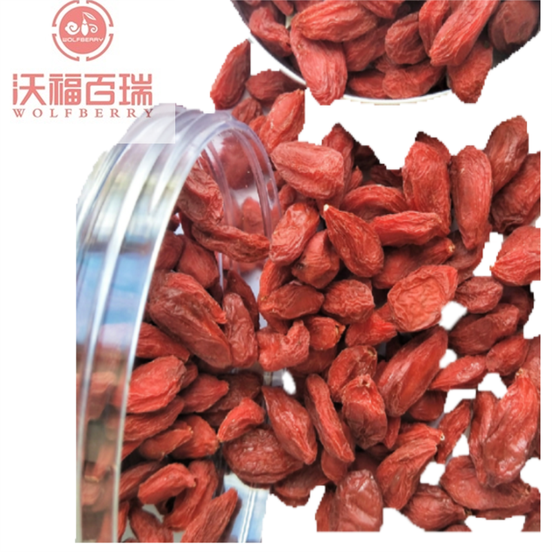 Bán buôn mới thu hoạch GMP nhà máy goji berries