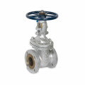 Stainless Steel Gate Valve