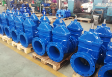 Ductile Iron Resilient Seated  Valves