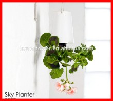 2015 The new sky flowerpot