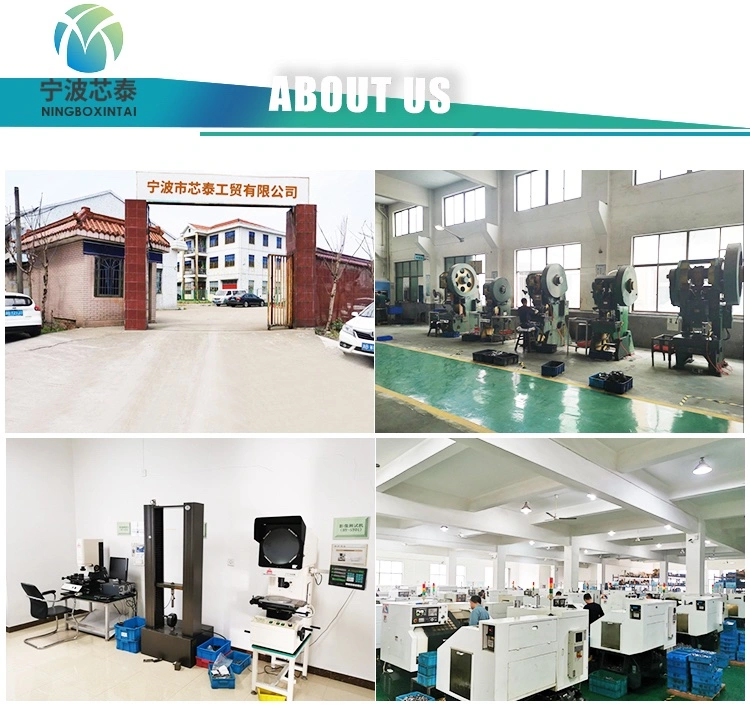 Chine Factory en acier inoxydable Métrique hydraulique et filetage BSP M10X1.0 et 1/8 "Banjo soudable BSP
