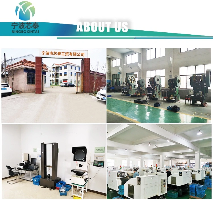 China Factory Stainless Steel Hydraulic Metric & Bsp Thread M10X1.0 & 1/8" Bsp Weldable Banjo Fitting