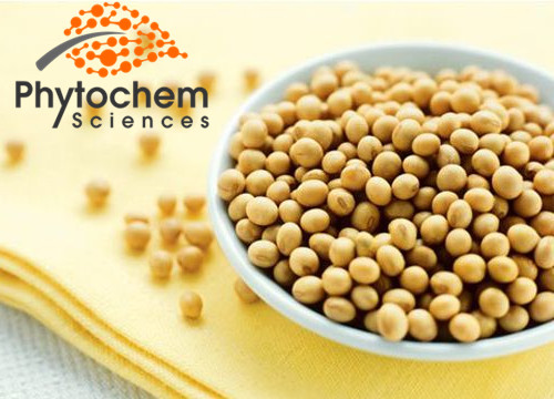 Best price soybean meal 98% Lecithin