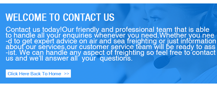 The professional international amazon freight forwarder service air cargo to usa