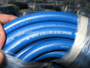 Rubber Oxygen Hose Blue