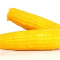 Double Packed Sweet Corn Cob