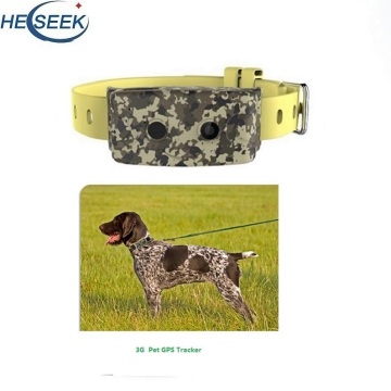 Best Tracking Collar Tracking Device for Dogs
