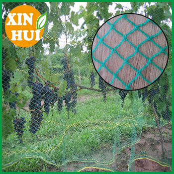 Plastic Mesh Anti Bird Net, Anti Bird Netting ,Anti-Bird Nets