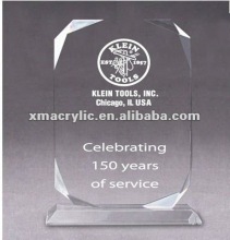 Customize Celebrating Transparent Acrylic Awards/Trophy