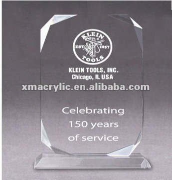 Customize Celebrating Transparent Acrylic Awards/Trophy