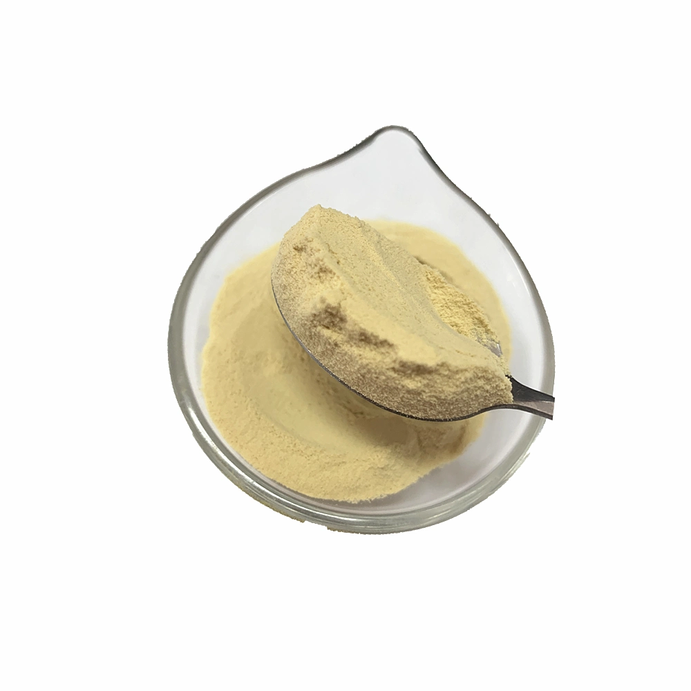 Pure Spray Dried Vegetable Powder Ginger Powder